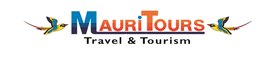 list of tour operators in mauritius